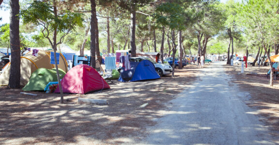 Emplacements traditionnels et camping cars