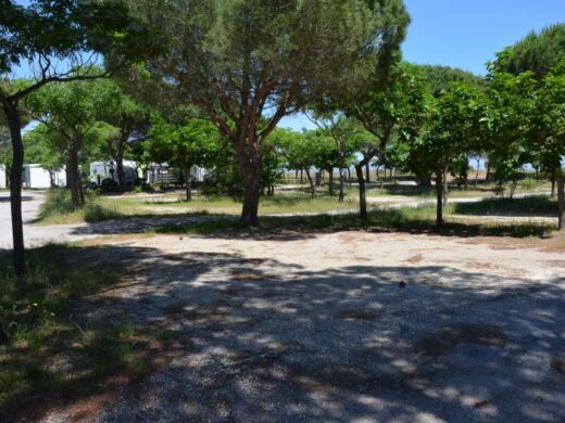 Emplacements traditionnels