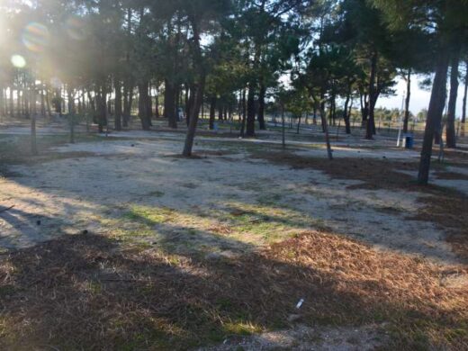 Tent sites