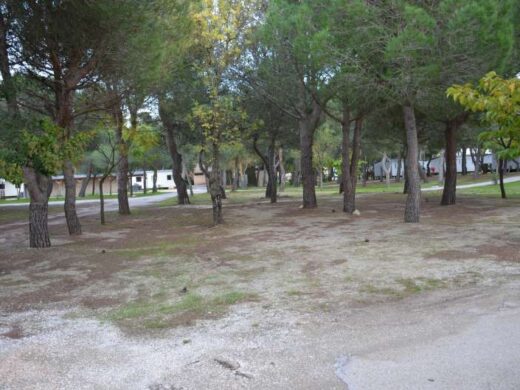 Tent sites