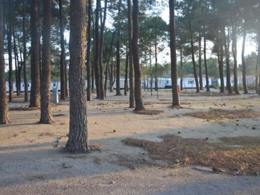 Tent sites