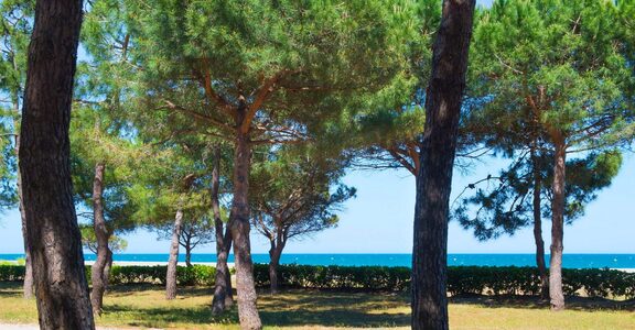 Le camping