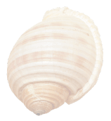 Accueil